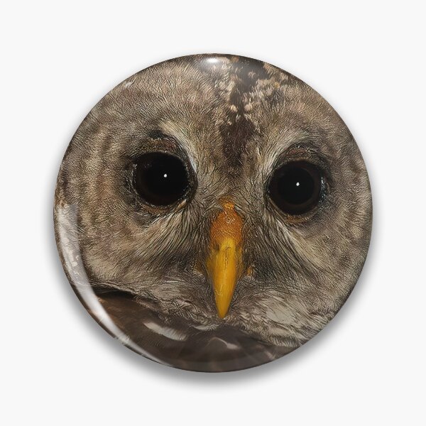 Item preview, BARRED OWL designed and sold by Joe Saladino.