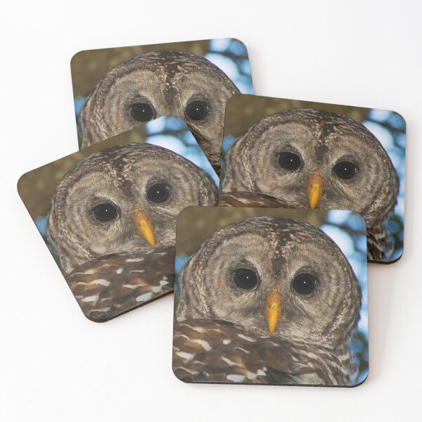 Item preview, BARRED OWL designed and sold by Joe Saladino.