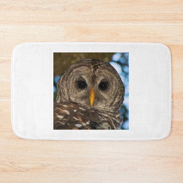 Item preview, BARRED OWL designed and sold by Joe Saladino.