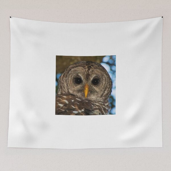 Item preview, BARRED OWL designed and sold by Joe Saladino.