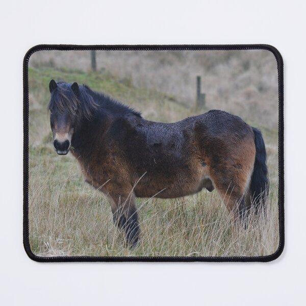 Item preview, Beautiful Exmoor Pony designed and sold by ClaireChown.