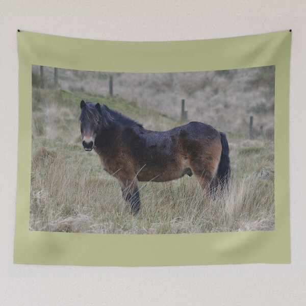 Item preview, Beautiful Exmoor Pony designed and sold by ClaireChown.