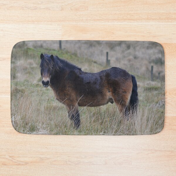 Item preview, Beautiful Exmoor Pony designed and sold by ClaireChown.