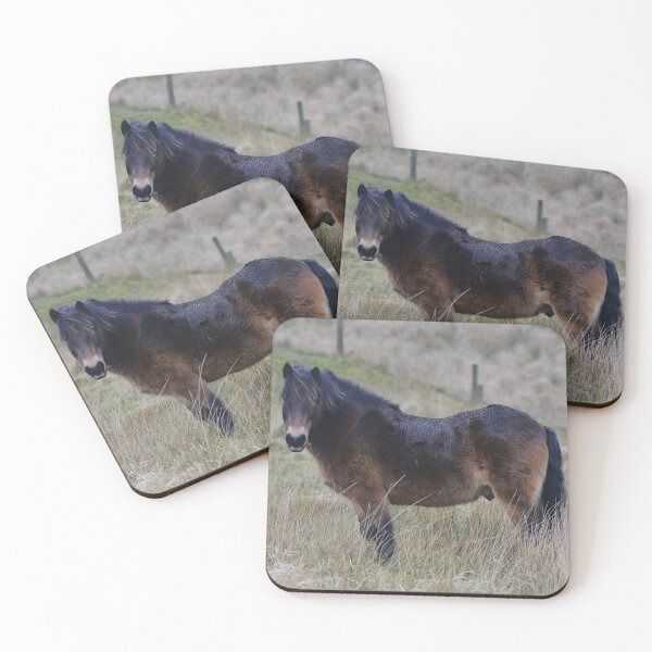 Item preview, Beautiful Exmoor Pony designed and sold by ClaireChown.