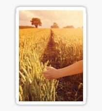 Walking through wheat field. Sticker