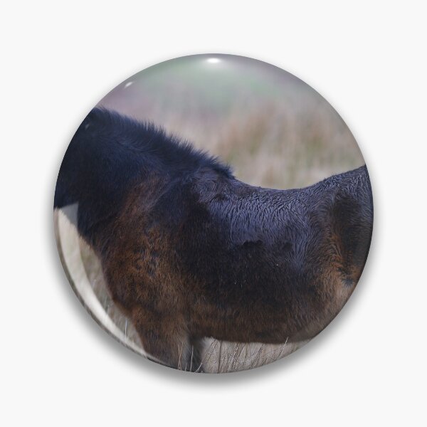 Aperçu de l'œuvre Poney d'Exmoor sur les collines créée et vendue par ClaireChown.