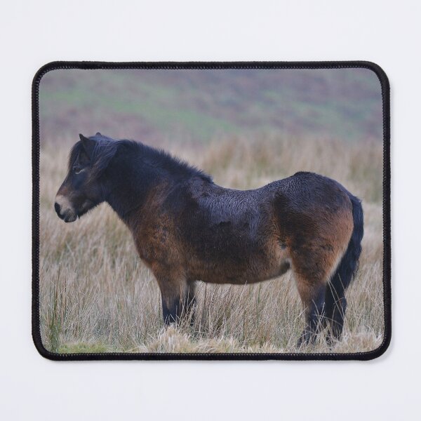 Item preview, Exmoor Pony on the Hills designed and sold by ClaireChown.