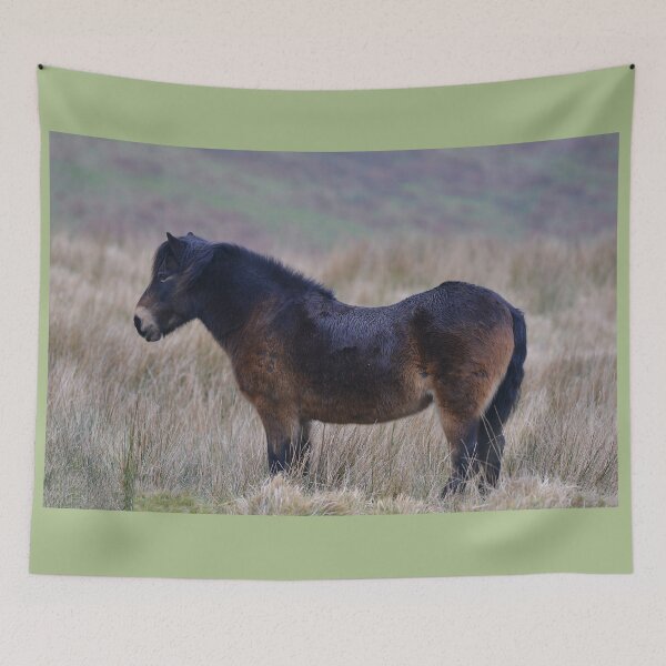 Item preview, Exmoor Pony on the Hills designed and sold by ClaireChown.