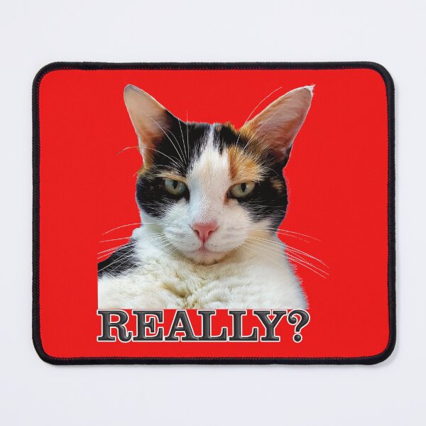Item preview, Unimpressed Cat, Really? designed and sold by captainpeter.