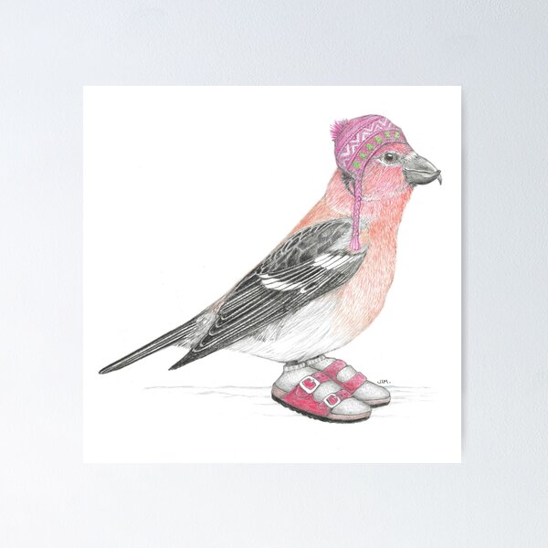 Item preview, White Winged Crossbill in Sandals designed and sold by JimsBirds.