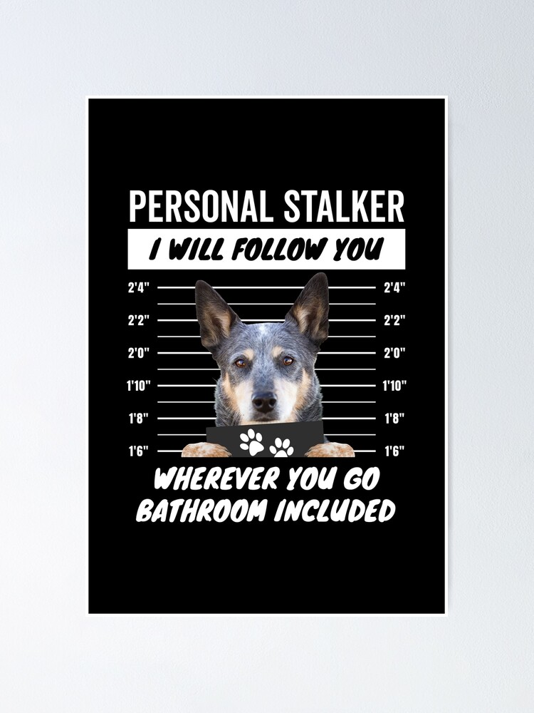 "Personal Stalker Dog – Queensland Blue Heeler" Poster for Sale by