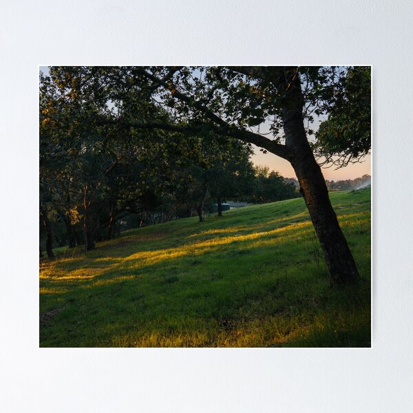 Item preview, California Hillside designed and sold by Geneva Burkhardt.