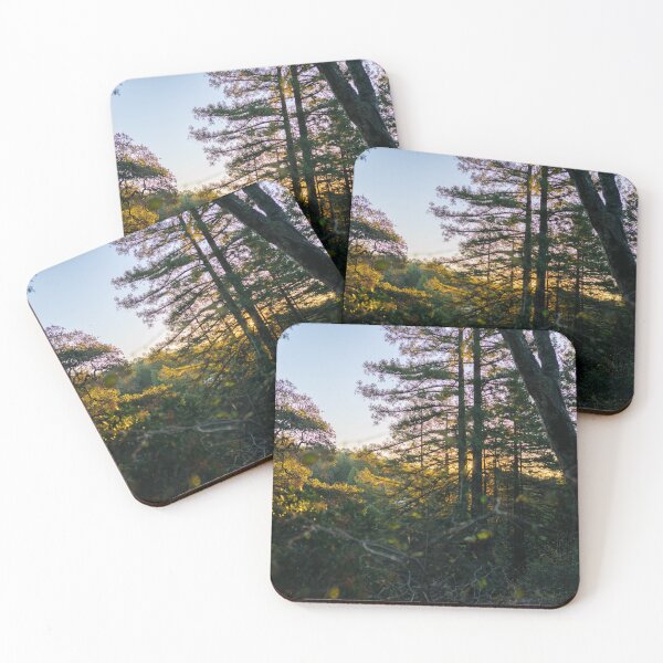 Item preview, Forest Sunrise II designed and sold by Geneva Burkhardt.