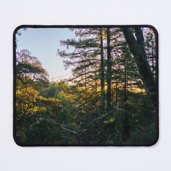 Item preview, Forest Sunrise II designed and sold by Geneva Burkhardt.