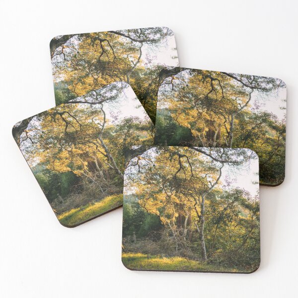 Item preview, Forest Sunrise I designed and sold by Geneva Burkhardt.
