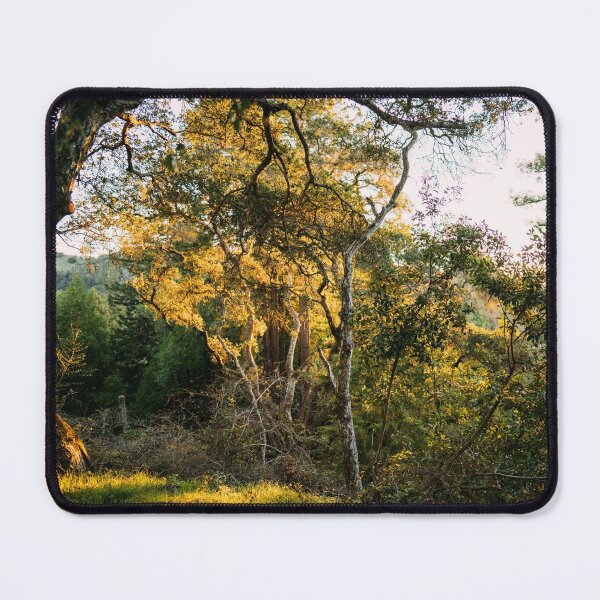 Item preview, Forest Sunrise I designed and sold by Geneva Burkhardt.