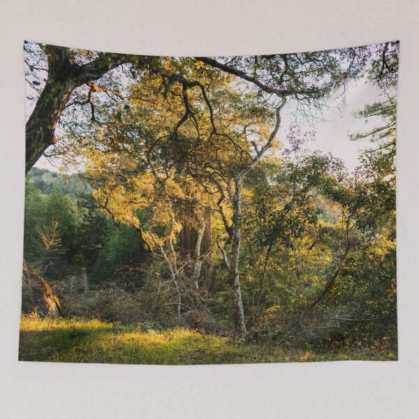 Item preview, Forest Sunrise I designed and sold by Geneva Burkhardt.
