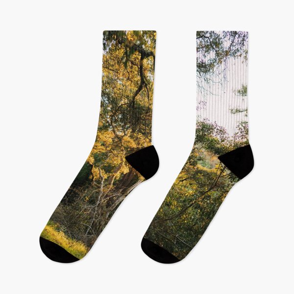 Item preview, Forest Sunrise I designed and sold by Geneva Burkhardt.