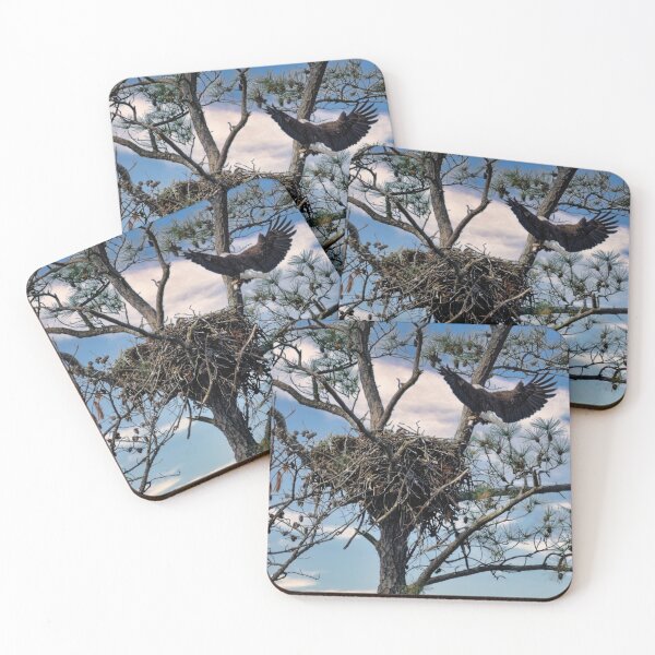 Item preview, Bald Eagle Nest designed and sold by KDartisticeye.
