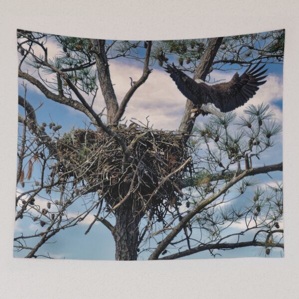 Item preview, Bald Eagle Nest designed and sold by KDartisticeye.
