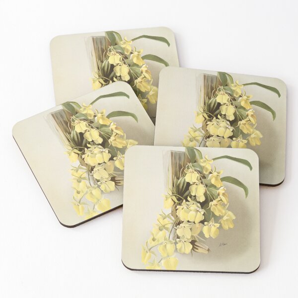 Item preview, Reichenbachia: Orchids Illustrated and Described designed and sold by EsotericBotanic.