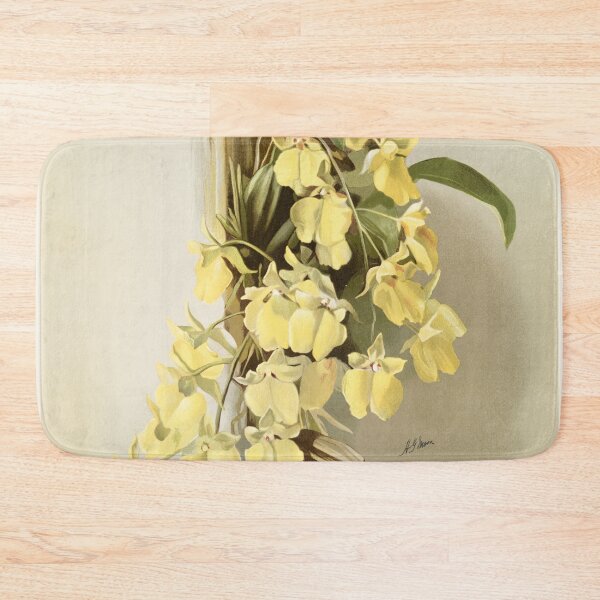 Item preview, Reichenbachia: Orchids Illustrated and Described designed and sold by EsotericBotanic.