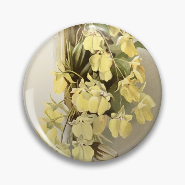 Item preview, Reichenbachia: Orchids Illustrated and Described designed and sold by EsotericBotanic.