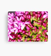 Dainty Pink Flower Canvas Print