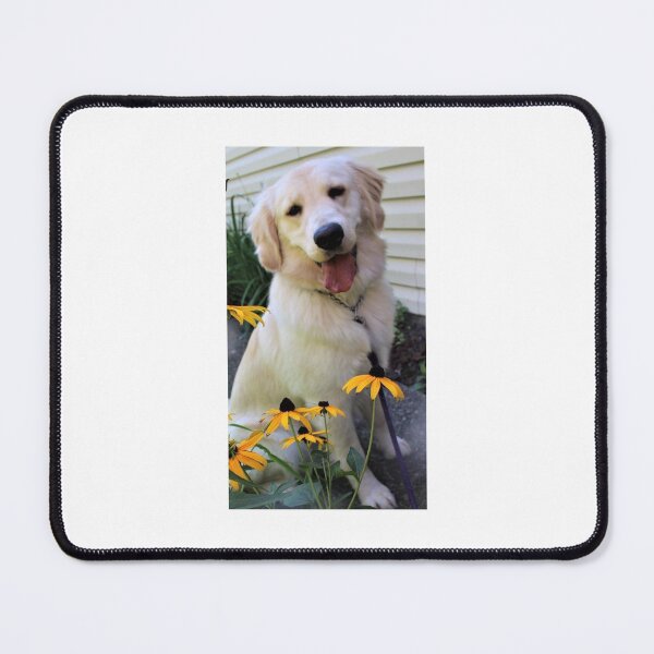 Item preview, Bailey designed and sold by SaltwaterImages.