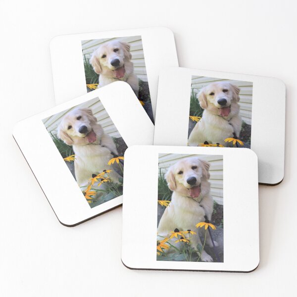 Item preview, Bailey designed and sold by SaltwaterImages.