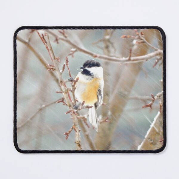 Item preview, Black Capped Chickadee in The Snow designed and sold by Jeda1429.