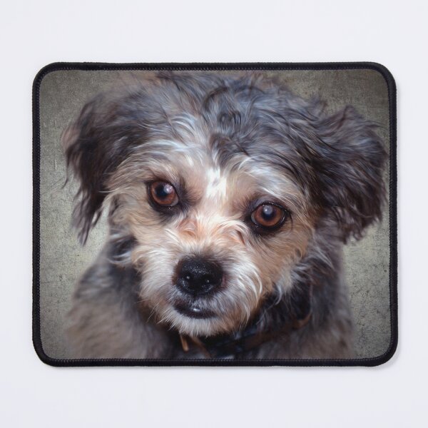 Item preview, Puppy  designed and sold by Savannah Gibbs.