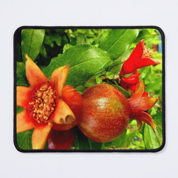 Item preview, Young Pomegrantes designed and sold by Charmiene Maxwell-Batten.