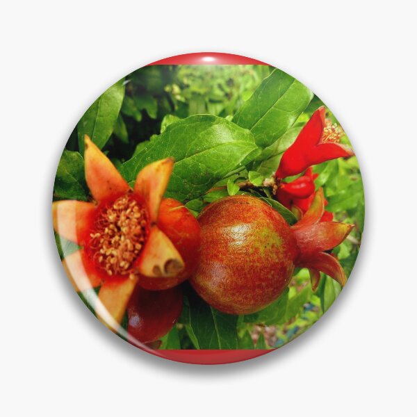 Item preview, Young Pomegrantes designed and sold by Charmiene Maxwell-Batten.