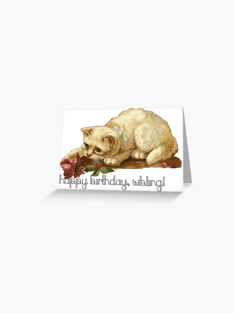 Carte De Vœux Joyeux Anniversaire Gender Trans Trans Cat Card Par Lordofthequeers Redbubble