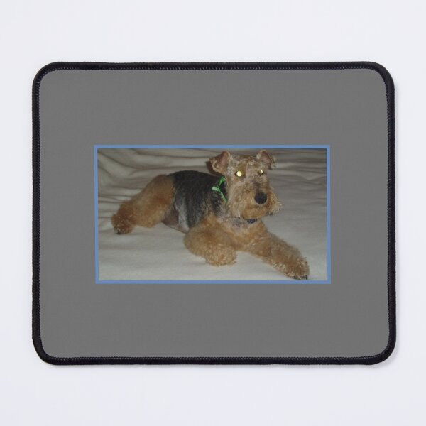 Item preview, Rowdy the Welsh Terrier designed and sold by tessek461.
