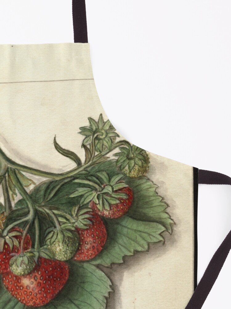 Alternate view of Vintage Strawberries Apron