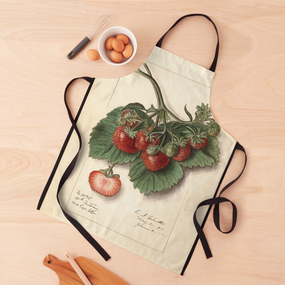 Vintage Strawberries Apron