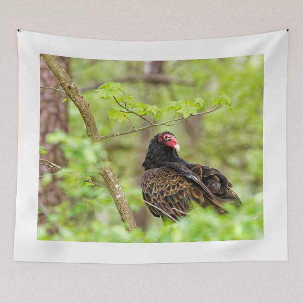 Item preview, Turkey Vulture designed and sold by KDartisticeye.