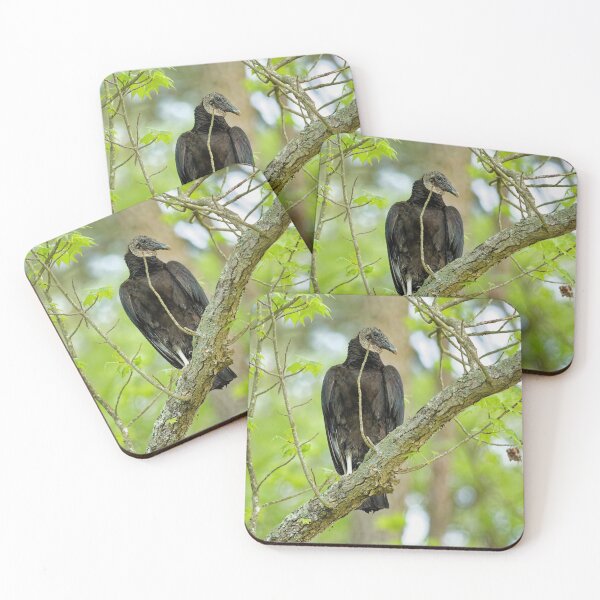Item preview, Black Vulture designed and sold by KDartisticeye.