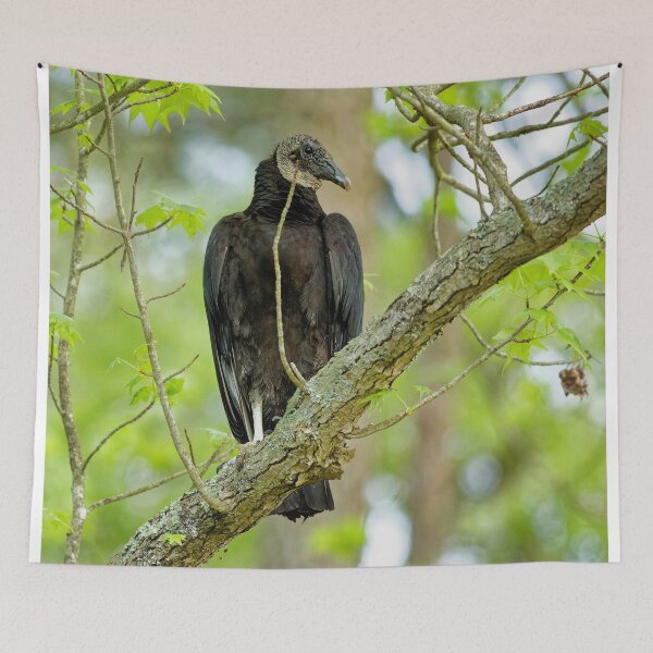 Item preview, Black Vulture designed and sold by KDartisticeye.