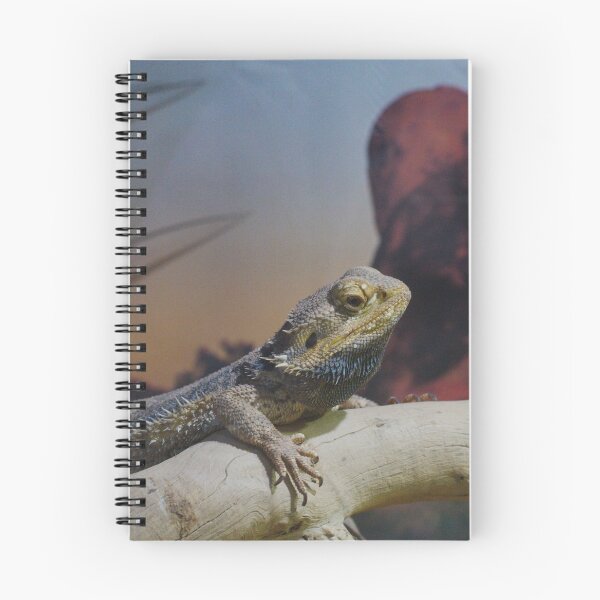 Item preview, Bearded dragon designed and sold by notjustamwac.
