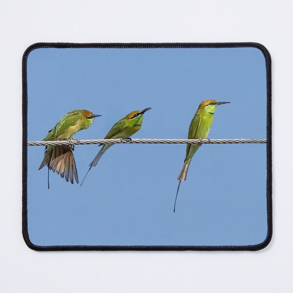 Item preview, Asian Green Bee Eater designed and sold by Kay Brewer.