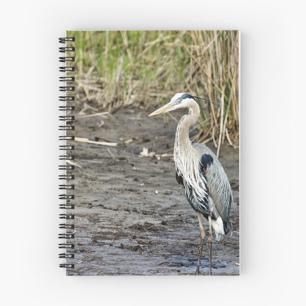 Item preview, Great Blue Herron designed and sold by KDartisticeye.