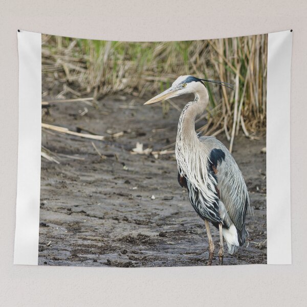 Item preview, Great Blue Herron designed and sold by KDartisticeye.
