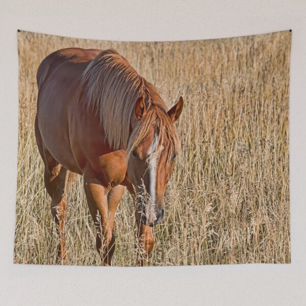 Item preview, A Horse's Work Is Never Done designed and sold by alanathrower.