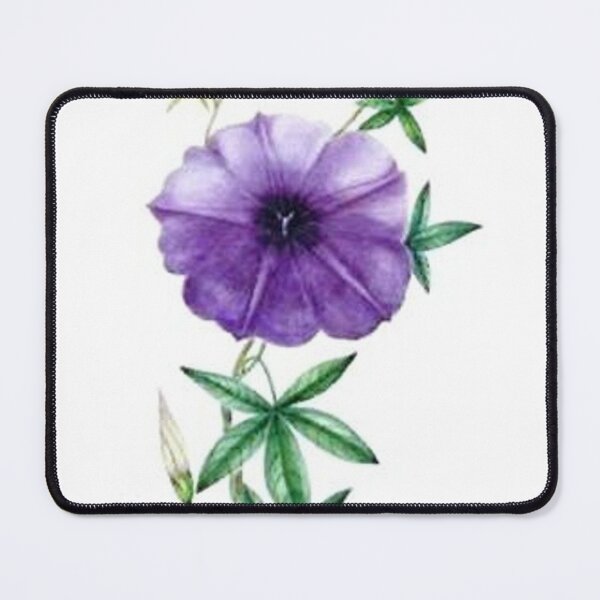 Item preview, Morning Glory designed and sold by SaraValor.