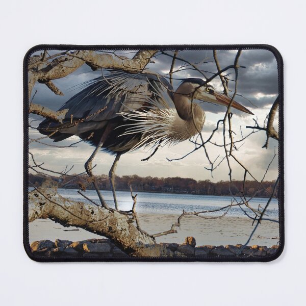 Item preview, Great Blue Herron in a tree designed and sold by KDartisticeye.