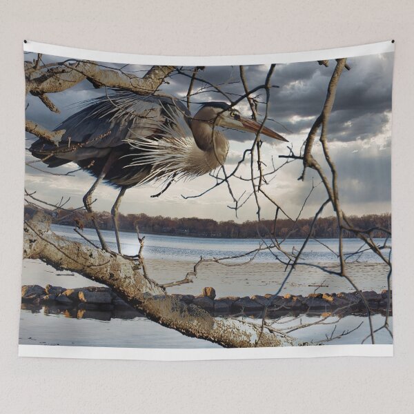 Item preview, Great Blue Herron in a tree designed and sold by KDartisticeye.