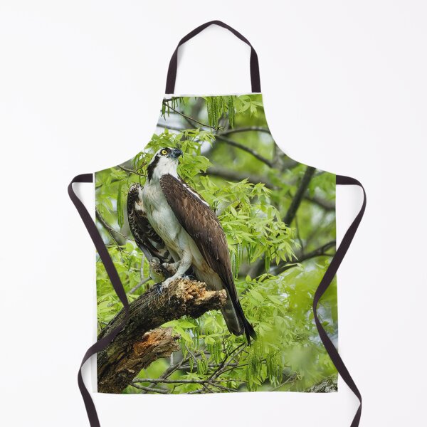 Item preview, Osprey in tree designed and sold by KDartisticeye.